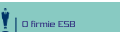 O firmie ESB